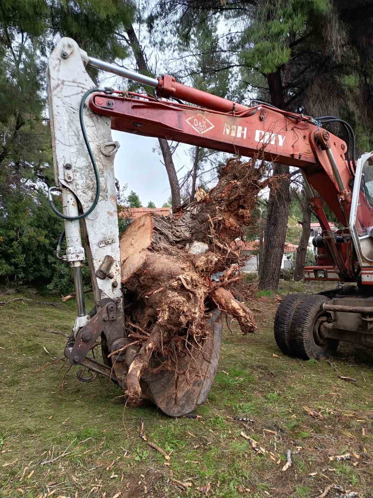 Τσάπα με κούτσουρο και ρίζες στον κουβά
