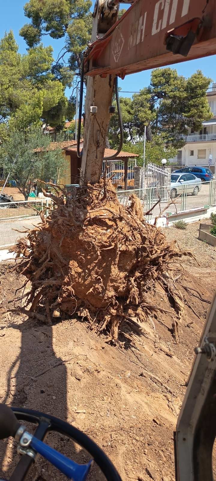 Μεγάλη ρίζα δέντρου στον κουβά του εκσκαφέα